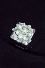 100_1793.webp