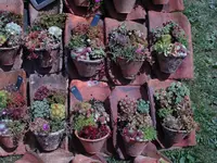 DSC01299.webp