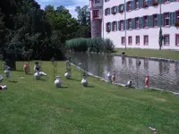 DSC01300.webp