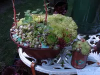 DSC01308.webp