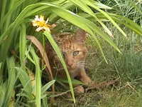 DSC00027.webp
