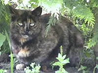 DSC00040.webp