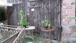 026.webp