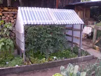 Tomatenhaus1.webp