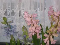 008.webp
