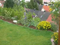 CIMG3908.webp