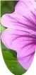 rate.webp