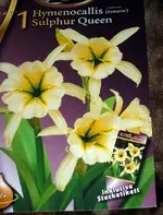 SA500185.webp