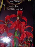 SA500186.webp