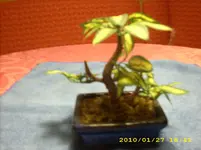 JD500504.webp