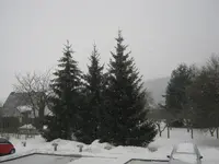 001.webp