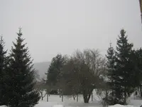 003.webp