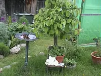 DSC00017.webp