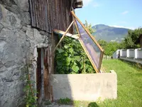 DSC00091.webp