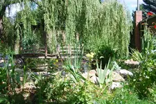 sommer2009.webp