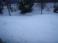 DSCF0399.webp
