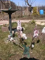 Garten1jahr1.webp