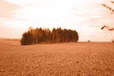 wald_norm11ald5ot.webp