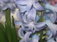 002.webp