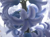 009.webp