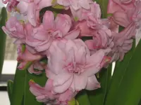 012.webp