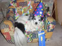 SL376623.webp