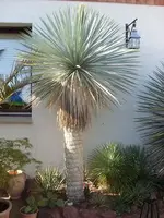 SL375299.webp