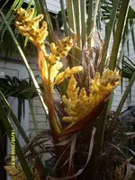 14SL374132.webp