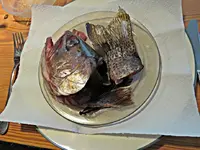 IMG_8967 - Copy.webp