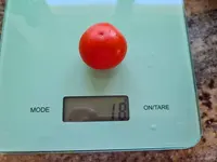 20220817_110236.jpg