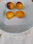 IMG_20220817_151348.jpg