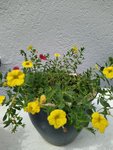 IMG_20220817_133500.jpg