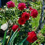 20220817_110526.webp