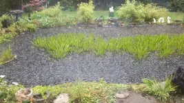 Regen.jpg
