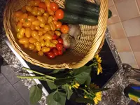 20220818_192039.webp
