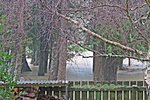 IMG_9084 v (2).JPG