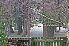 IMG_9084 v (2).webp