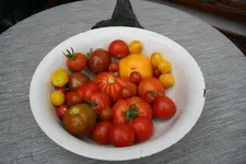 August  0822 (2).webp