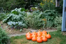 IMG_9568.webp