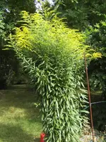 BILD0400.webp