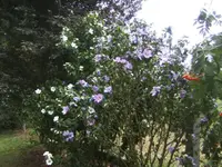 BILD0378.webp