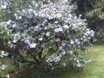 BILD0377.JPG