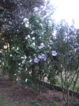 BILD0333.JPG