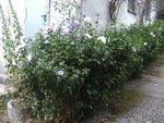 BILD0410.JPG
