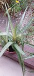 20220820_163052.jpg