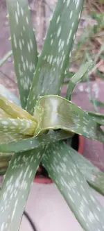 20220820_163056.webp