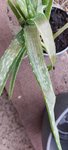 20220820_163103.jpg