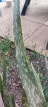 20220820_163130.jpg