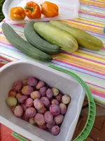 IMG_20220820_120759.webp