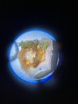 IMG_7446.jpeg
